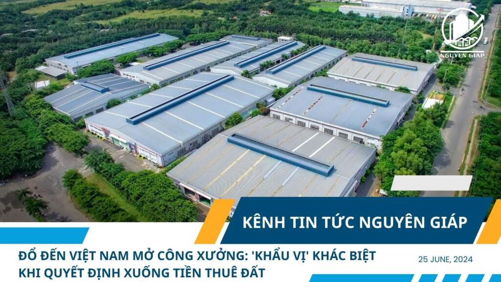 Đổ đến Việt Nam mở công xưởng: ‘Khẩu vị’ khác biệt khi quyết định xuống tiền thuê đất
