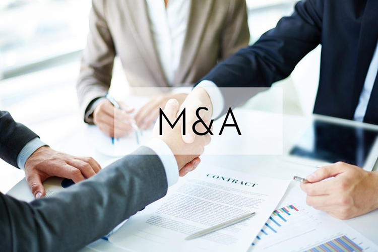 TƯ VẤN VÀ SÁP NHẬP M&A