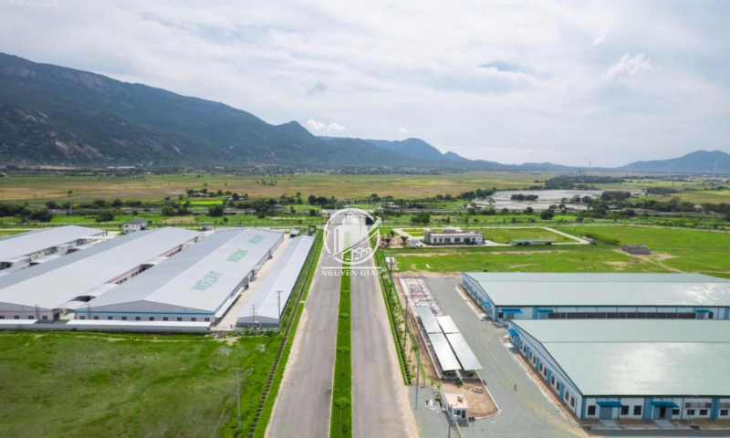 Cho Thuê Nhà Xưởng Diện Tích Từ 3000m2 Tại CCN Jutech, Bắc Giang