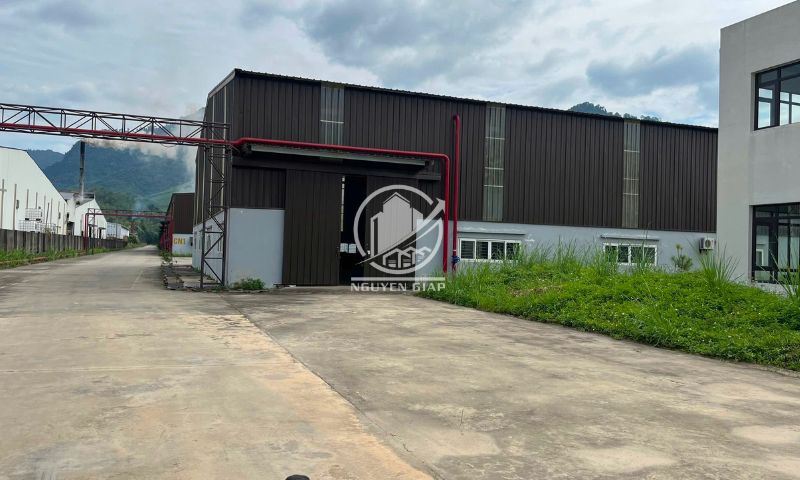 Cho thuê nhà xưởng Nam Á hơn 9.000m2 tại CCN Quảng Chu